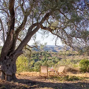 Monte Oliva - Agroturismo